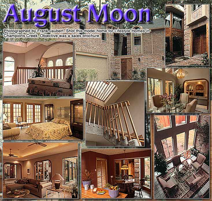 illustration: august moon collage